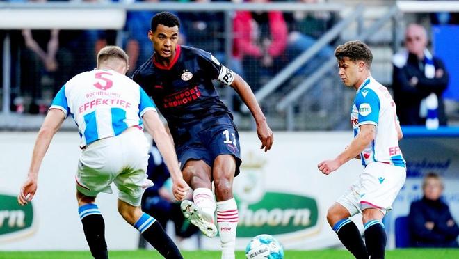 视频在社交 视频在社交