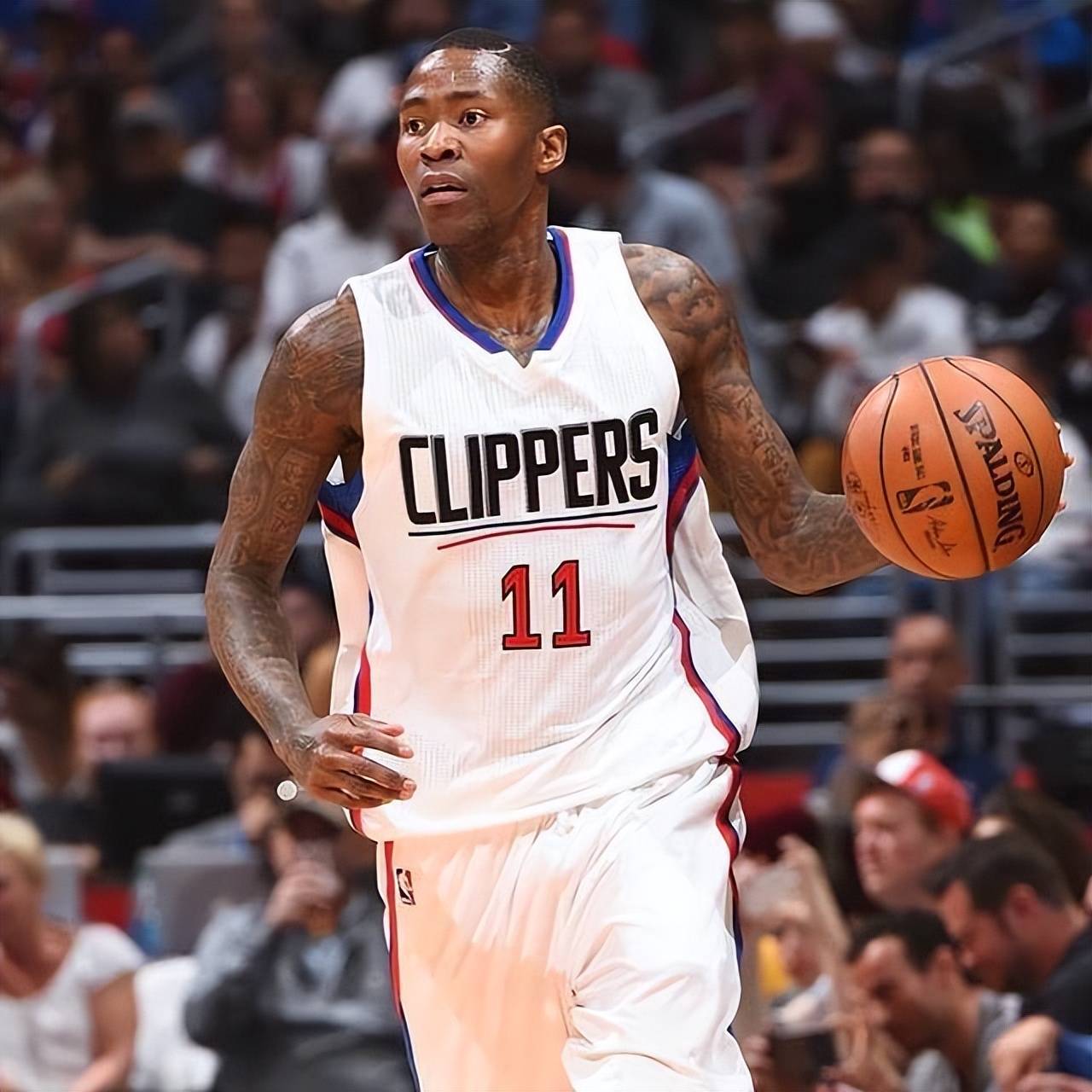 洲与美国职 洲与美国职